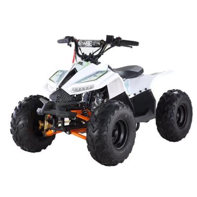 China 2024 new style 4 stroke 49cc 110cc 125cc 150cc Petrol semi-automatic off-road Quad kids mini ATV for sale