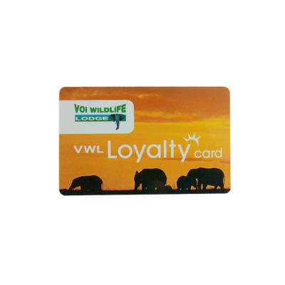 China Durable PVC cr80 Dot Card Plastic Loyalty Card for sale