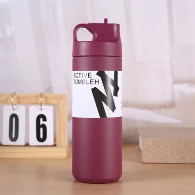 China 550ml Tumbler Sustainable Double Wall Insulated Vacuum Flask for Tea Water and Coffee for sale