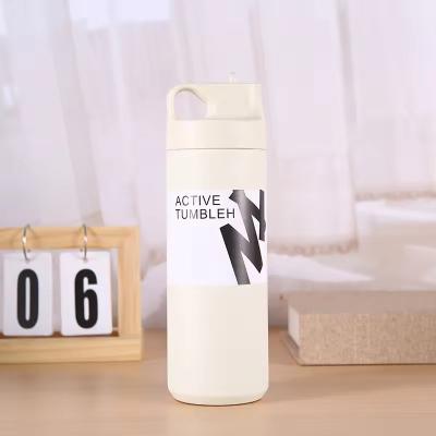 China Unisex Custom Sport 550ml Stainless Steel Double Wall Insulated Vacuum Flask with Handle for sale