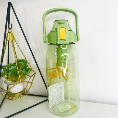 China Reizigers Fruit Waterfles 1000 ml Tritan Sport Plastic Teabag Infusiefles Te koop