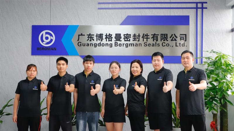 Fornitore cinese verificato - Guangzhou Bogeman Mechanical Seal Co., Ltd.