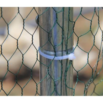 China Outdoor Twill Weave Walk In Chicken Cages Wholesale 2m 4m Large Chicken Cage Metal Chicken Cage 6m for sale