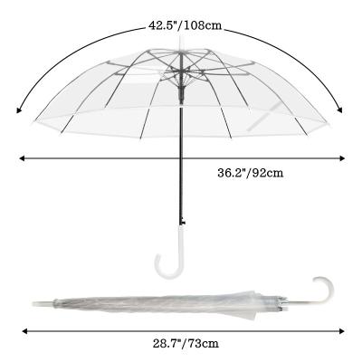 China Cute Automatic Open Cheap Transparent Clear POE Ladies Umbrella for sale