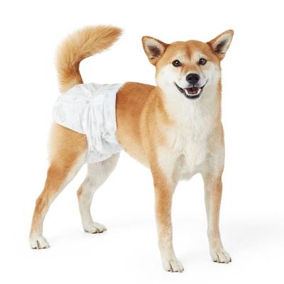 China 2021 Viable Cheap Price Disposable Dog Diaper Pant Manufacturer For Disposable Dog Diapers for sale