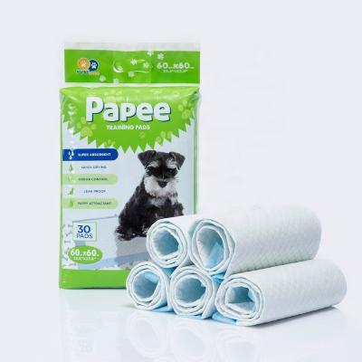 China Pet Urine Absorb Puppy Pet Hot Selling Super Absorbent Pad High Quality Disposable Waterproof 60x60cm Leakage Pad for sale