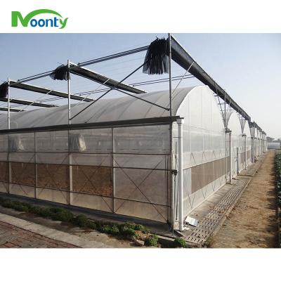 China Economical Multi Span Gothic Commercial Agricultural Greenhouse for sale