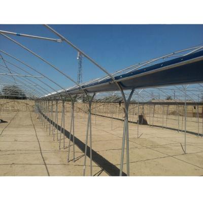 China Economical Multi Span Agricultural Greenhouses for sale