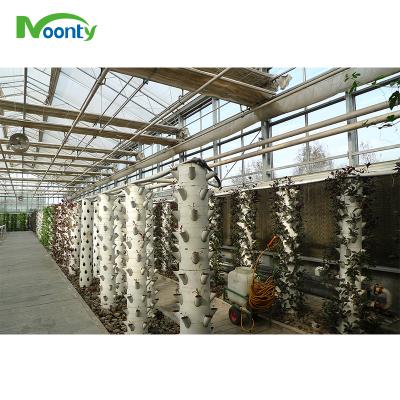 China Agriculture Planting Agricultural Wholesale Tunnel Structures Greenhouse Hydroponic Systems for sale