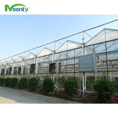 China Modern Customized Agricultural Windproof Polycarbonate Greenhouse for sale