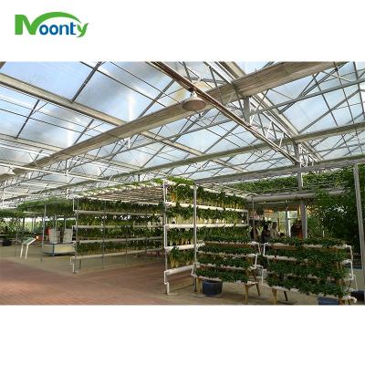 China Modern Vegetable Herbs Cultivating Hydroponic Growing Systems for sale