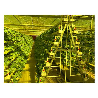 China Herbs Growing NFT Vertical Hydroponics Growing System for sale