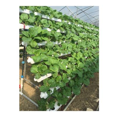 China Customized Recyclable Vertical Agricultural Growing Hydroponics System Roof Urban Farm for sale