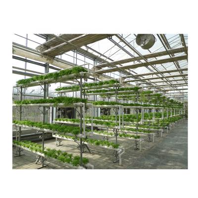 China Modern Indoor Greenhouse Commercial Hydroponics System Vertical for sale