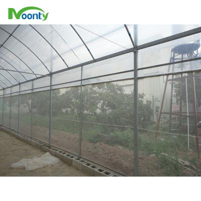 China Greenhouse Plant Cultivating New Vegetables Greenhouse Agricultural Plastic Anti Insect Net for sale