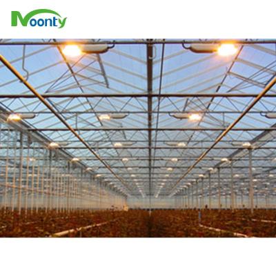 China Commercial PE Multi-Roof Cultivation Agricultura Greenhouse Equipment for sale