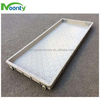 China Seed Planting Animal Feed Forage Tray for sale