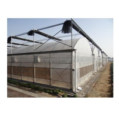 China Agriculture Planting Hot Selling Customized Agricultural Greenhouse Multi Turnkey Hydroponics Green Span House For Farm for sale