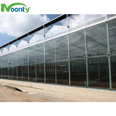 China Glass Agricultural Glass Greenhouse for sale