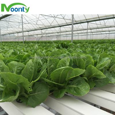 China Plastic Plant PVC Pipe Low Cost Agricultural Hydroponics Greenhouse for sale