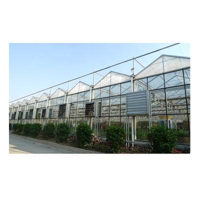 China Multi Vegetable PC Polycarbonate Greenhouse Hydroponics Growing Fruits Flowers Fruits Spreads Green House Mylar House for sale