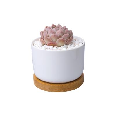 China Eco-friendly simple white desktop creative round foot beautiful small round ceramic flowerpot with bamboo base set for sale