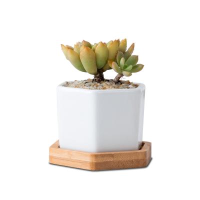 China Simple White Creative Ceramic Hexagon Flowerpot Green Plants Cactus Beautiful Small With Tray Bamboo Scenography for sale