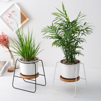 China Wholesale Ceramic Cactus Herb Plants Pot with Bamboo Tray for Cactus Herb Plants for sale