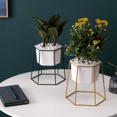 China Wholesale Nordic Single Hexagonal Iron Single Hexagon Frame Iron Planter Set Combination Combination Ceramic Nordic Green for sale