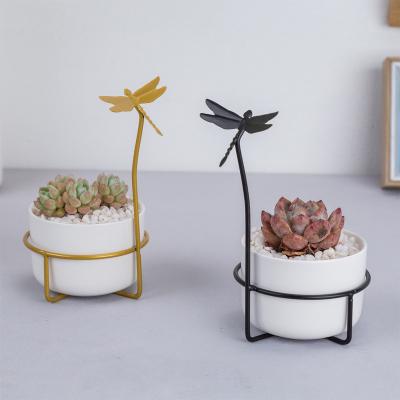 China Nordic simple creative dragonfly shaped INS iron frame and iron base with succulent ceramic flowerpot combination set for sale