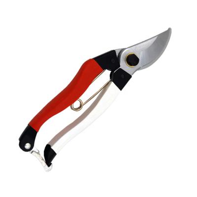 China Anti-Slip Handle 8 Inch Garden Tools Tree Branches Pruner Cutting Scissors for sale