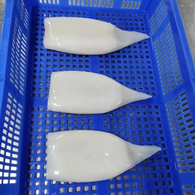 China Diant Tube Frozen Squid Organic Squid Tubes for sale