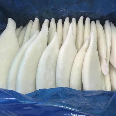 China Frozen Squid Tube Manufacturers Organic Frozen Squid Tube Manufacturers Calamari U5 U10 Squid Loligo Tube for sale