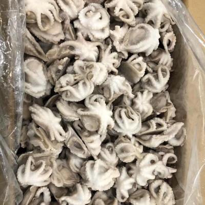 China Frozen Safety Octopus Iqf Baby Octopus (Octopus vulgaris) for sale