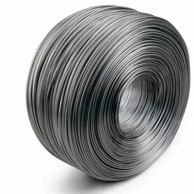 China Sturdy Stainless Steel Wires For 304 304L 316 316L Wire Rope for sale