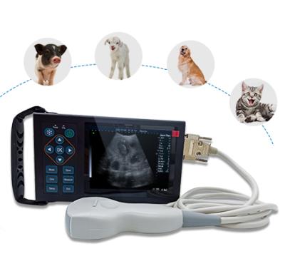 China Animal Veterinary Device A10 Digital Waterproof Electronic Convex Array Probe Scanner Animal Vet Veterinary Ultrasound for sale