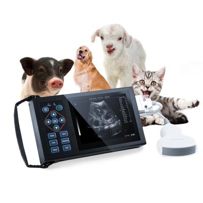 China Animal Veterinary Device A10 Digital Waterproof Electronic Convex Array Probe Scanner Animal Vet Veterinary Ultrasound for sale