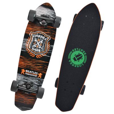 China Youth 24 Inch Maple Design Cruiser Board Your Own Fish Board Cruiser Skateboard for sale