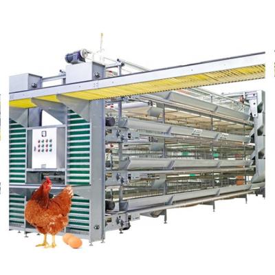 China Hot Selling Automatic Farms Chicken Layer Cage Poultry Farm Equipment for sale