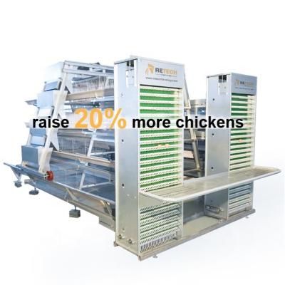 China Raise More Chickens Automatic One Type Egg Laying Hens Cage Poultry Layer Cage System For Sale for sale