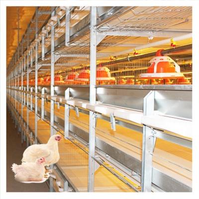 China Poultry Farm Equipment Full Automatic Broiler Chicken Cage for sale