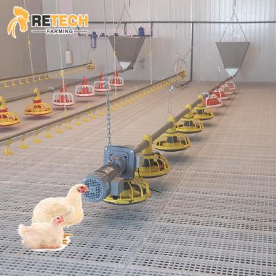 China Poultry Field Poultry House Broiler Floor Raising Farm Equipment On Land for sale