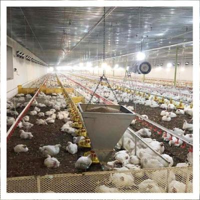 China Commercial Poultry Field Poultry Equipment Ground Rearing System For Broiler House for sale