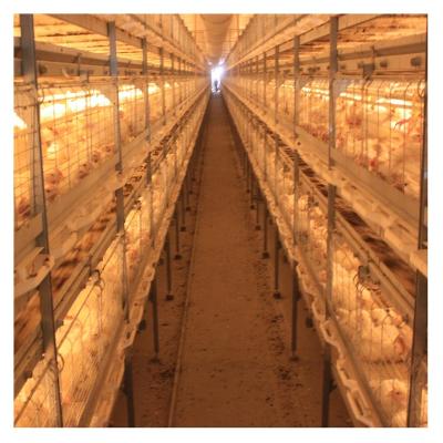 China Commercial Wire Mesh Chicken Battery Cage from Kenya Farms for Broiler for sale