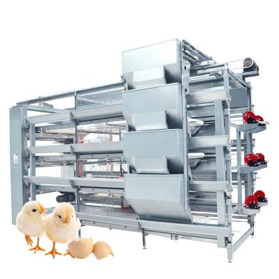 China Automatic Baby Chick Chicken Layer Poultry Farm Equipment Pullet Cage Commercial Goods Farm Prices for sale