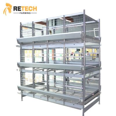 China Poultry Farm Equipment Full Automatic 3 Row Parent Broiler Battery Cage System For Sale for sale