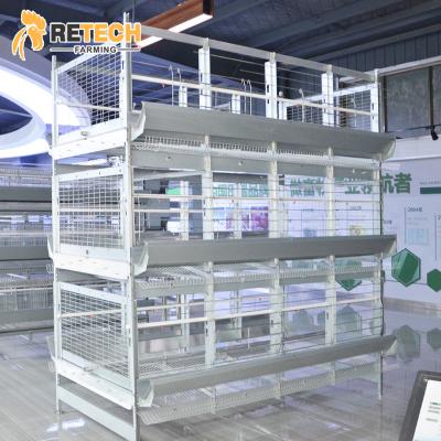 China Full Automatic Hot Dipped Galvanized Design H Type Broiler Breeder Parent Chicken Cage For Poultry House for sale