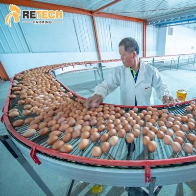 China Full Automatic Heat Resistant Egg Collection System For Layer Chicken Cage for sale