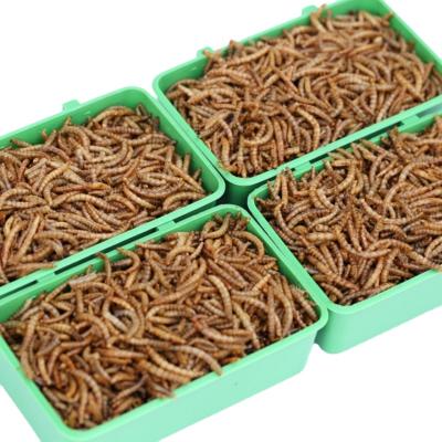 China Factory Dried Mealworms Hot Sale Natural Dry Pet Food Cheap Price Mealworms Fish Food Viable Good Quality Pet Food Mealworms for sale