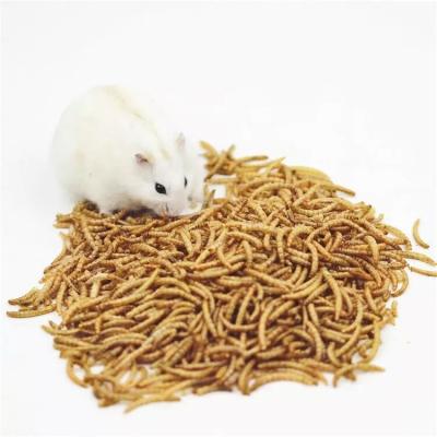 China Newest Viable Custom Hamster Food Dry Hamster Food Edible Hedgehog Food Snacks Insect for sale